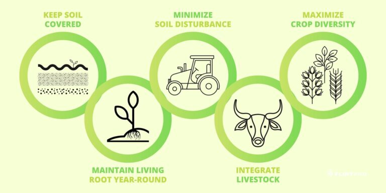 Why Regenerative Beef is the Future of Sustainable Agriculture
