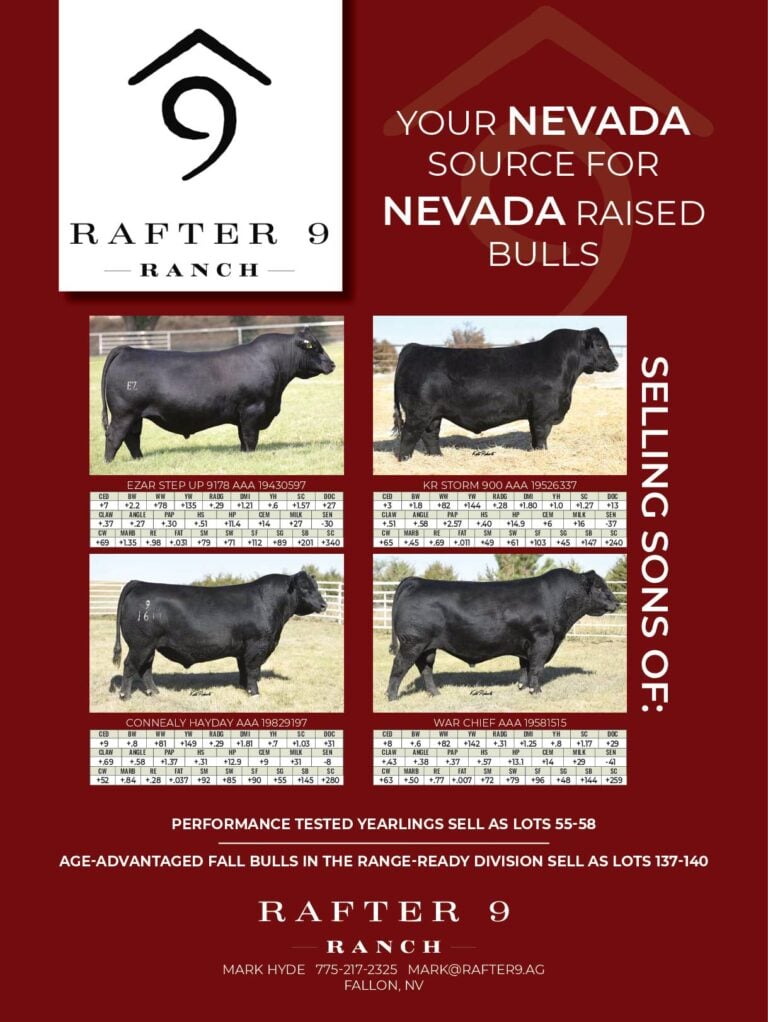 The Great Basin Bull Sale was a hit!