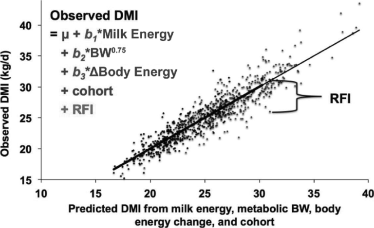 The New Frontier of Feed Efficiency: How Science is Revolutionizing Cattle Breeding