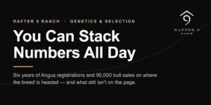 Rafter 9 Ranch feature: You Can Stack Numbers All Day