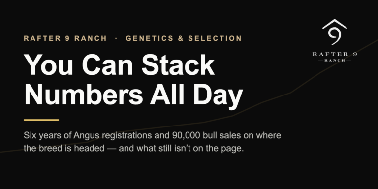 Rafter 9 Ranch feature: You Can Stack Numbers All Day